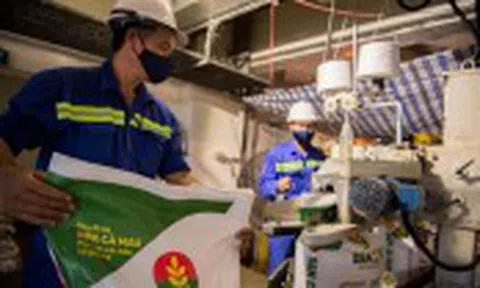 Chính phủ ban hành Nghị quyết về thuế giá trị gia tăng phân bón