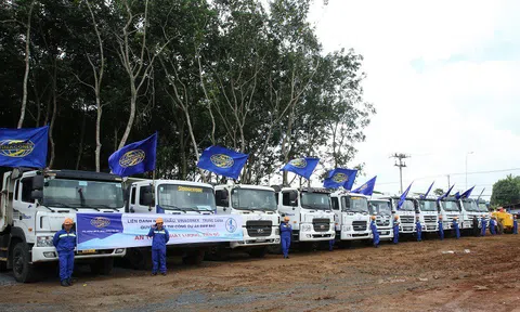 Cổ phiếu Vinaconex đứt chuỗi giảm điểm sau thông tin muốn mua lại 44 triệu cổ phiếu VCG