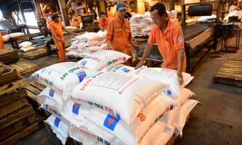 Thuế giá trị gia tăng phân bón ở mức 5% có hợp lý?