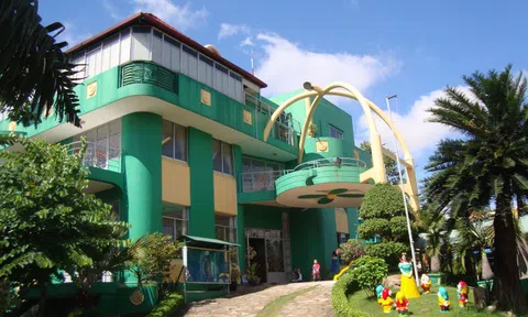 Cắn tay học sinh mầm non, cô giáo đang mang thai bị đình chỉ công tác