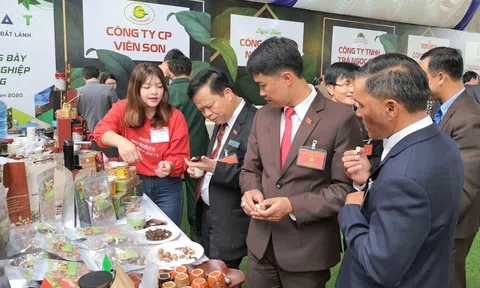 Lâm Đồng: Trưng bày, quảng bá các sản phẩm đặc trưng