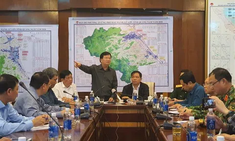 Phó Thủ tướng Chính phủ Trịnh Đình Dũng yêu cầu di chuyển các tàu đang ở vùng nguy hiểm vào nơi an toàn