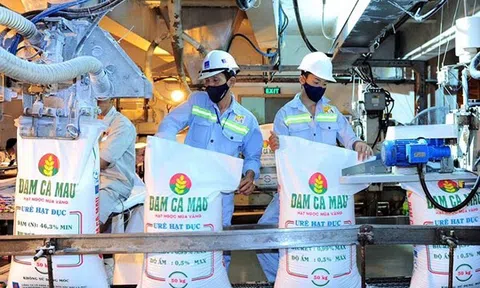 Sửa Luật thuế 71, doanh nghiệp phân bón nói gì?