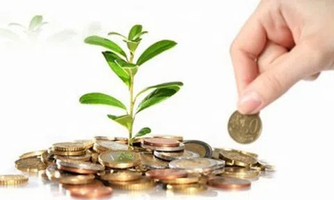 Săn cổ tức "béo" cuối năm