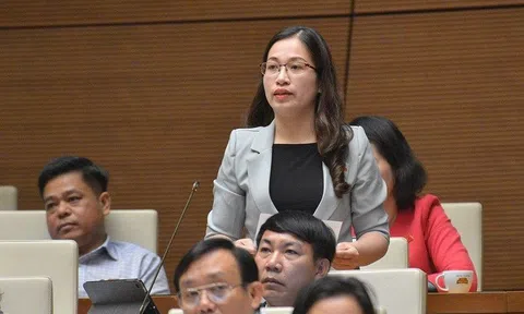 Sách giáo khoa lớp 1: 'Không thể trấn an dư luận bằng sợi dây kinh nghiệm'