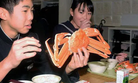 Bữa trưa đặc biệt với tôm hùm, cua tuyết của trẻ em Hàn Quốc, Nhật Bản