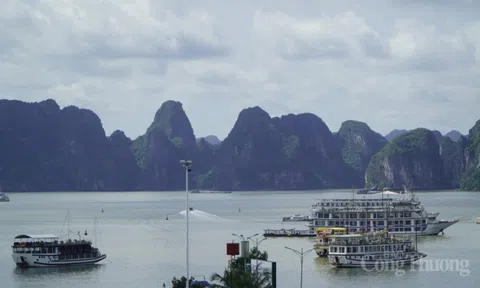 Quảng Ninh: Cần phát triển du lịch đi đôi với bảo tồn