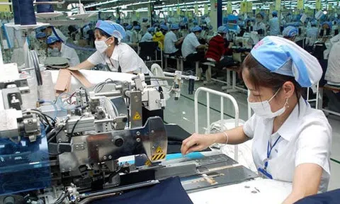 Có 133/138 doanh nghiệp Nhà nước kinh doanh có lãi năm 2019