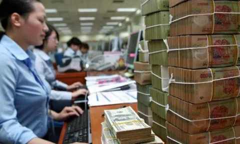 Khả năng chống chịu và ứng phó của Việt Nam thế nào trước các rủi ro bất ổn tài chính toàn cầu?