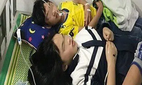 Chọc phá tổ ong, 16 học sinh ở Nghệ An phải đi cấp cứu