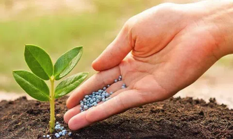 VNDirect: Doanh nghiệp sản xuất Ure hưởng lợi lớn nếu được thông qua chính sách thuế