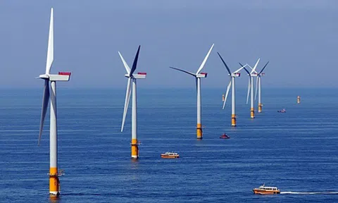 Bình Định đồng ý cho khảo sát dự án điện gió có tổng mức đầu tư 1,5 tỉ USD