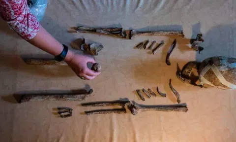 Bộ hài cốt 5.000 năm ở Đức hé lộ cuộc sống của người tiền sử