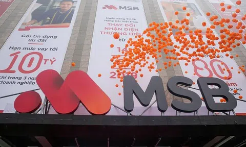 MSB thay đổi cơ cấu cổ đông trước thềm lên HOSE