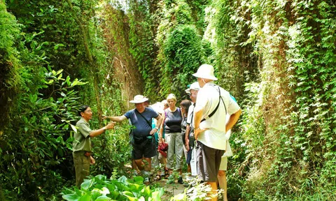 Đồng Tháp: đẩy mạnh kích cầu du lịch những tháng cuối năm