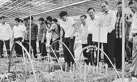 Phát triển các sản phẩm chủ lực từ nguồn gien quý, hiếm