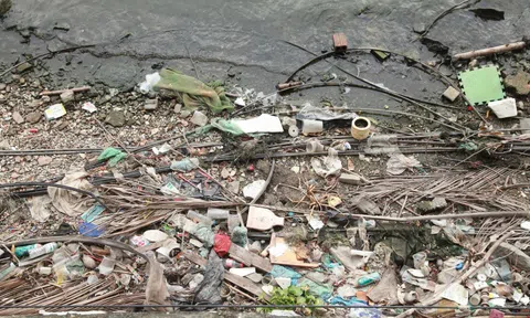 Để hồ Tây đẹp hơn trong mắt du khách