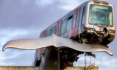 Tượng đuôi cá voi khổng lồ cứu tàu metro vào top ảnh tuần
