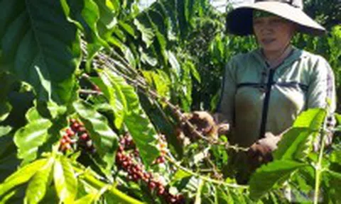 Sau 15 năm, buôn bán với Trung Quốc tăng gấp 16 lần