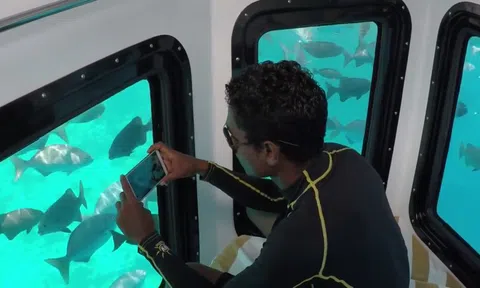 Thủ tướng đồng ý cho Vinpearl thí điểm dịch vụ tàu lặn tại vịnh Nha Trang