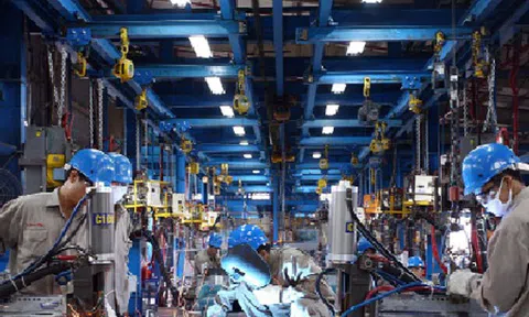 Kinh tế tuần hoàn - hướng phát triển bền vững cho doanh nghiệp Việt Nam