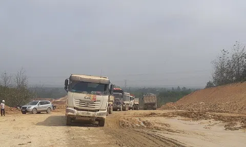 Nhà thầu Đường Việt (Đà Nẵng):
                                            Tháng trước bị phạt vì chậm nộp BHXH, tháng sau trúng thầu dự án lớn