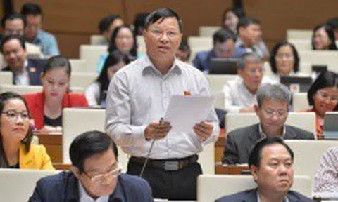 Đại biểu quốc hội lo ngại chỉ tiêu tăng trưởng GDP năm 2021 cao