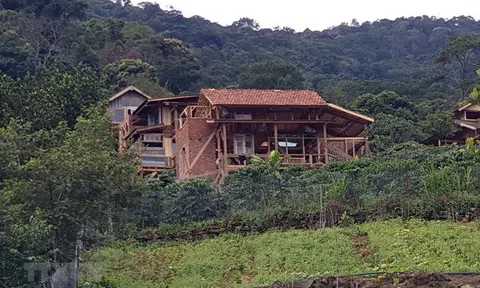 Lâm Đồng: 'Hỏa tốc' xử lý vụ xây 'Làng biệt thự' trái phép ở đất rừng