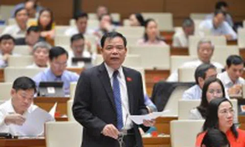 Làm gì để phát triển cây mắc ca ở Việt Nam một cách bền vững?