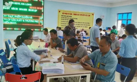 Làm thế nào để sử dụng hiệu quả 84.000 tỷ Quỹ bảo hiểm thất nghiệp?