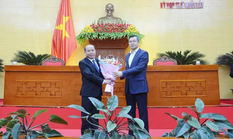 Ông Bùi Đức Hinh được bầu làm Chủ tịch HĐND tỉnh Hòa Bình