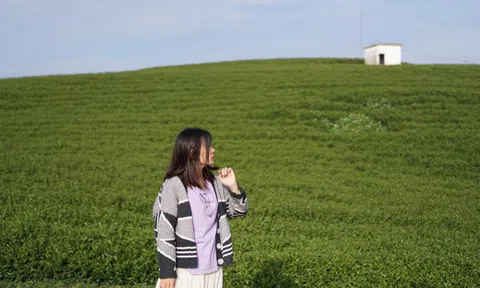 Cao nguyên Mộc Châu trong trẻo những ngày thu