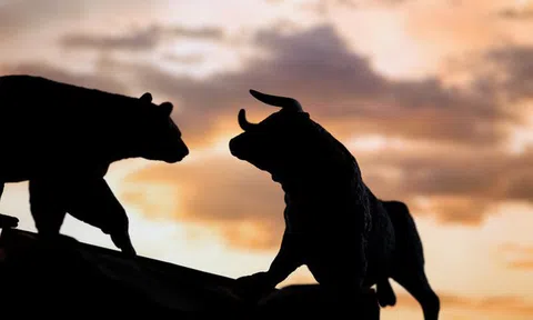 Chứng khoán phiên chiều ngày 11/11: VN-Index tiếp tục bị cầm chân