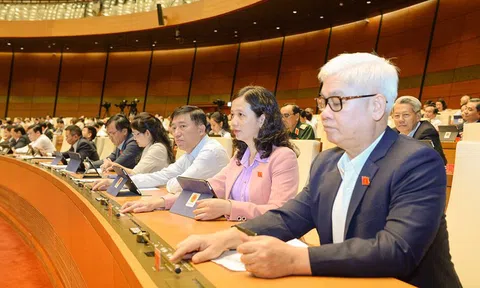 Quốc hội xem xét về giao kế hoạch đầu tư vốn ngân sách cho VDB