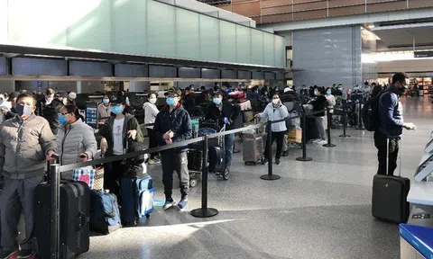 Đưa hơn 280 công dân Việt Nam từ Nga về nước