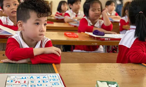 Thẩm định SGK lớp 2, lớp 6: Bộ GD&ĐT cần cử thêm người giám sát