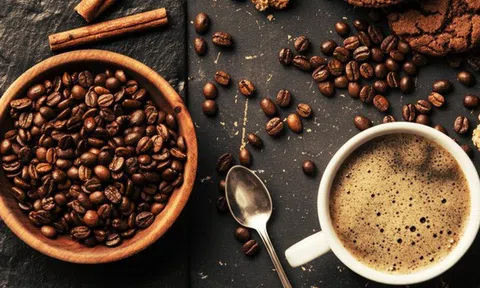 Giá cà phê hôm nay 13/11: Thị trường trong nước đang cao nhất kể từ đầu năm