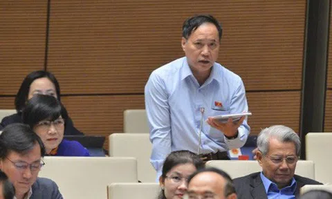 Đại biểu Quốc hội ủng hộ bỏ HĐND quận, phường ở TPHCM