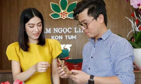 Sâm Ngọc Linh Kon Tum được phân phối tại TP.HCM