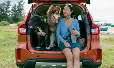 Cặp vợ chồng chi 30 triệu đồng đi cắm trại bên bãi biển Bình Thuận