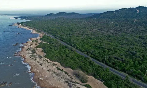 Bất động sản biển: đầu tư hay nghỉ dưỡng?