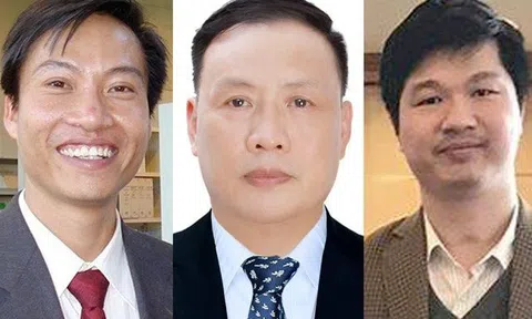 22 nhà khoa học Việt lọt top xếp hạng có tầm ảnh hưởng nhất thế giới 2020