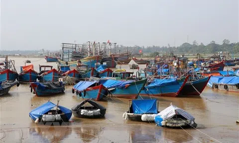 Ứng phó bão số 13: Nghệ An cấm tàu thuyền ra khơi từ 17 giờ ngày 13/11