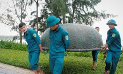 Thủ tướng chỉ đạo cưỡng chế sơ tán dân tránh bão số 13 khi cần thiết