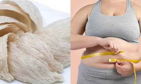 Ăn tổ yến thường xuyên có béo không?