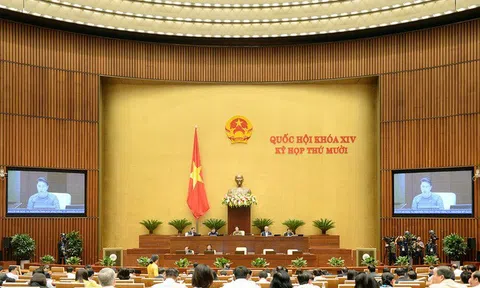 Cho ý kiến dự án Luật Phòng, chống ma túy (sửa đổi); biểu quyết 4 Luật và 2 Nghị quyết