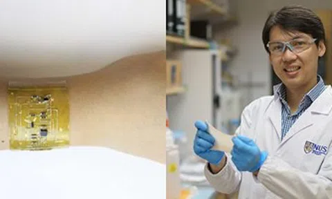 Ngỡ ngàng công nghệ da điện tử có thể tự vá lành và đo nhịp tim