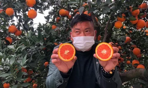 Lễ hội mua sắm toàn cầu: Sự kiện mua sắm trực tuyến lớn nhất thế giới