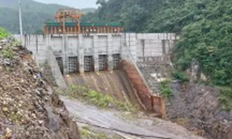 Ông chủ thủy điện Thượng Nhật tích nước trái phép là ai?