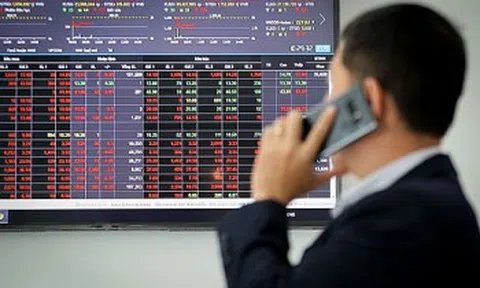 SCIC đấu giá cổ phần lần 2 tại Xuất nhập khẩu Sa Giang (SGC)